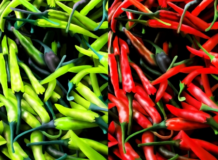Hand Drawing of Red Hot Chili Pepper and Green Hot Chili Pepper background の写真素材