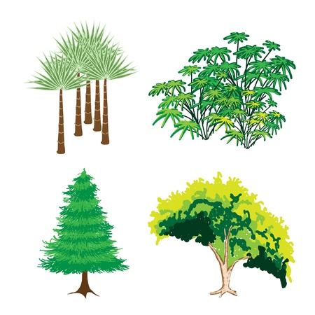 An Illustration Collection of Landscaping Tree Symbols or Isometric Green Trees and Plants, Variety of Plants, Evergreens and Trees for Garden Decorationのイラスト素材