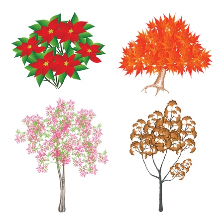 An Illustration Collection of Landscaping Tree Symbols or Isometric Trees and Plants, Variety of Plants, Evergreens and Trees for Garden Decorationのイラスト素材