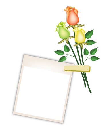 Love Concept, Illustration of Lovely Orange, Yellow and Green Roses with Blank Instant Photo Prints or Polaroid Frames Isolated on A White Backgroundのイラスト素材