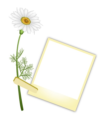 Love Concept, Illustration of A Lovely White Daisy or Chamomile Flower with Yellow Blank Instant Photo Prints or Polaroid Frames Isolated on A White Backgroundのイラスト素材