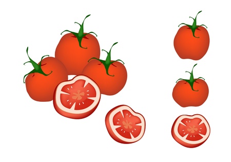 Vegetable, An Illustration Collection of Fresh Ripe Red Tomatoes and Tomatoes Cross Section Isolated on White Backgroundのイラスト素材