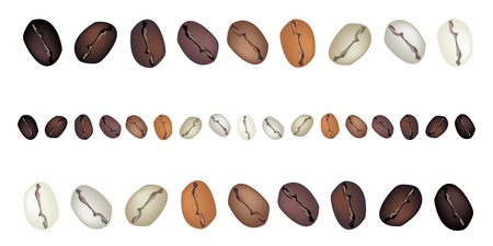 Coffee Time, An Illustration Various Colors of Roasted Coffee Beans Isolated on White Backgroundのイラスト素材