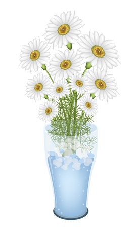 A Symbol of Love, Bright and Beautiful Bouquet of Chamomile Flower or White Daisy Flowers in Glass Vase Isolated on White Backgroundのイラスト素材
