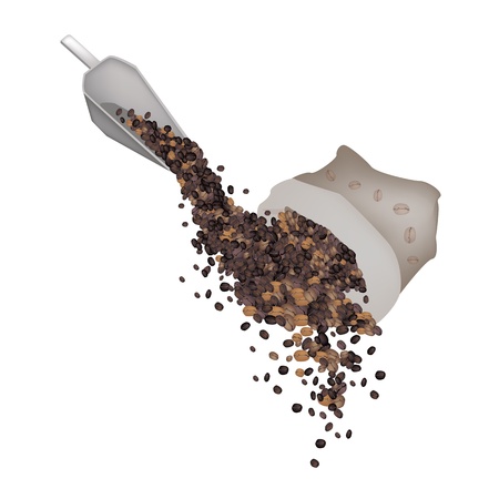 Coffee Time, An Illustration of Different Roasted Coffee Beans Dropped from Canvas Bag and Metal Scoop Isolated on A White Backgroundのイラスト素材