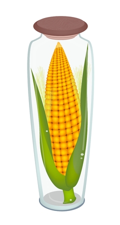 An Illustration of A Fresh Ripe Sweet Corn in A Tall Glass Jar Isolated on White Backgroundのイラスト素材