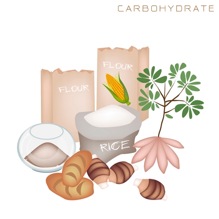 Various Kind of Carbohydrate Foods to Improve Nutrient Intake and Health Benefits, Carbohydrate Is One of The Main Types of Nutrients のイラスト素材