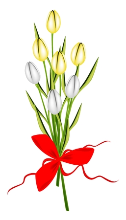 Symbol of Love and Luxury, An Illustration of Beautiful Spring Yellow and White Tulip Boquet with Red Ribbon and Bow for Someone Special のイラスト素材