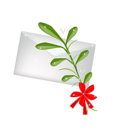 Mistletoe Bunch or Viscum Album with A Christmas Red Ribbon and Letter or Envelopes For Christmas Celebration, Isolated on White Background
のイラスト素材
