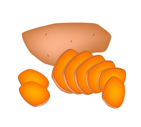 Vegetable, Vector Illustration of Whole and Sliced of Orange Sweet Potatoes Isolated on White Background.

のイラスト素材