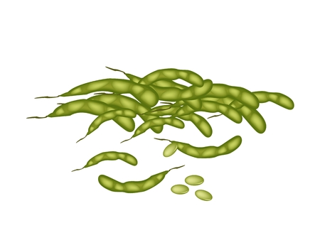 Vegetable and Fruit, A Pile of Fresh Green Soybean or Edamame Pods on White Background.のイラスト素材