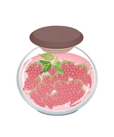 Fruit, An Illustration of Preserved Raspberries, Raspberry Jam or Raspberries Compote in Syrup of Water and Sugar in Glass Jar Isolated on White Background.
のイラスト素材
