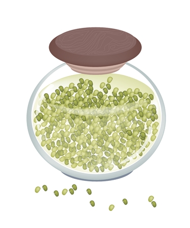 Baked Mung Beans in A Glass Jar, Good Source of Dietary Fiber, Vitamins and Minerals.
のイラスト素材