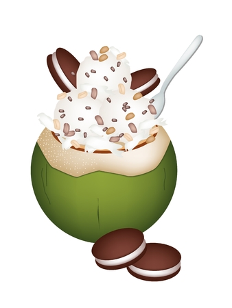 Sweet Food and Dessert, An Illustration of Coconut Ice Cream in Coconut Shell and Topped with Roasted Peanuts and Chocolate Cookies.
のイラスト素材
