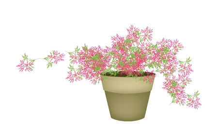 Illustration of Landscaping Tree Symbol or Isometric Tree and Plant of Beautiful Pink Flower in A Flowerpot, for Garden Decorationのイラスト素材
