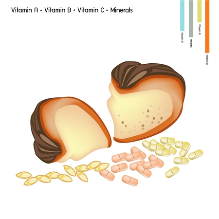 Healthcare Concept, Illustration of Pumpkin with Vitamin A, Vitamin B, Vitamin C and Minerals Tablet, Essential Nutrient for Lift.のイラスト素材