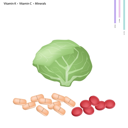 Healthcare Concept Illustration of Cabbage with Vitamin K Vitamin C and Minerals Tablet Essential Nutrient for Life.のイラスト素材