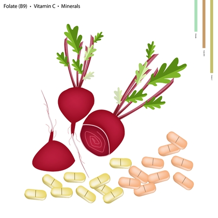 Healthcare Concept Illustration of Beetroot with Vitamin C Folate or B9 and Minerals Tablet Essential Nutrient for Life.のイラスト素材
