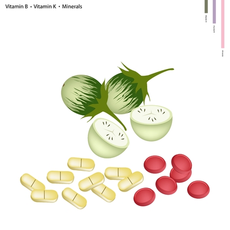 Healthcare Concept, Illustration of Cockroach Berry or Green Eggplant with Vitamin B, Vitamin K and Minerals Tablet, Essential Nutrient for Life.のイラスト素材