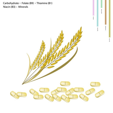 Healthcare Concept, Illustration of Rice with Carbohydrate, Folate or B9, Thiamine or B1, Niacin or B3 and Minerals, Essential Nutrient for Life.のイラスト素材
