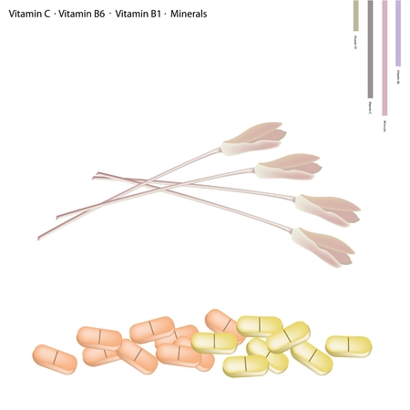 Healthcare Concept, Illustration of Stem of Lotus Flower or Water Lily with Vitamin C, Vitamin B6, Vitamin B1 and Minerals Tablet, Essential Nutrient for Life.のイラスト素材