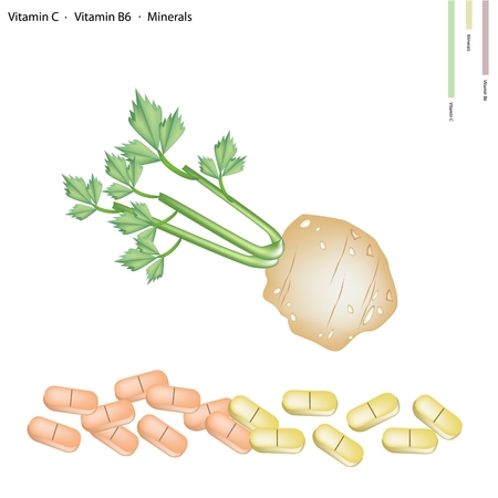 Healthcare Concept, Illustration of Root of Celery with Vitamin C, Vitamin B6 and Minerals Tablet, Essential Nutrient for Life.のイラスト素材