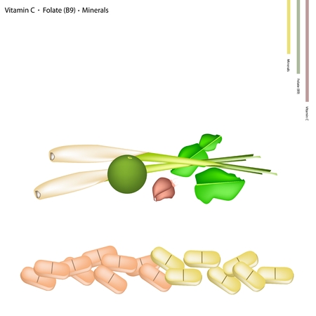 Healthcare Concept, Illustration of Lime, Shallot, Kaffir Lime and Lemon Grass with Vitamin C, Folate (B9) and Minerals Tablet, Essential Nutrient for Life.のイラスト素材