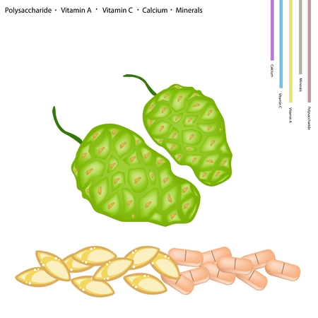 Healthcare Concept, Fresh Noni or Cheese Fruit with Polysaccharide, Vitamin A, Vitamin C, Calcium and Minerals Tablet, Essential Nutrient for Life.のイラスト素材
