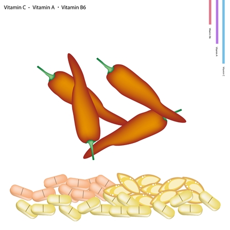 Healthcare Concept, Illustration of Red Sweet Pepper with Vitamin C, A and B6 Tablet, Essential Nutrient for Life.のイラスト素材