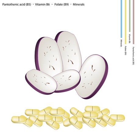 Healthcare Concept Sliced Eggplant with Pantothenic Acid B5 Vitamin B6 Folate B9 and Minerals Tablet Essential Nutrient for Life.のイラスト素材