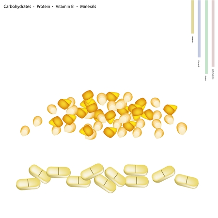 Healthcare Concept, Illustration of Corns Seed with Carbohydrates, Protein, Vitamin B and Minerals Tablet, Essential Nutrient for Life.のイラスト素材