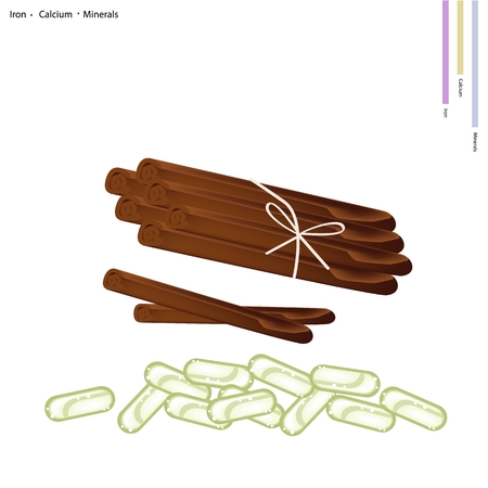 Healthcare Concept, Illustration of Dried Cinnamon Sticks with Iron, Calcium and Minerals, Essential Nutrient for Life.のイラスト素材