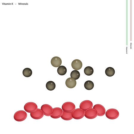 Healthcare Concept, Illustration of Dried Peppercorns or Allspice with Vitamin K and Minerals, Essential Nutrient for Life.のイラスト素材