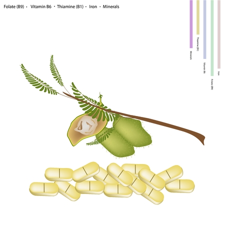 Healthcare Concept, Illustration of Garbanzo Beans or Chickpea with Folate B9, Vitamin B6, Thiamine B1, Iron and Minerals Tablet, Essential Nutrient for Life.のイラスト素材