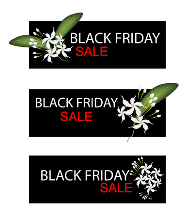 Illustration Of Gardenias Or Cape Jasmine Flowers On Black Friday