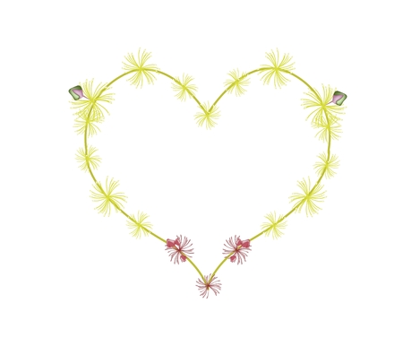 Love Concept, Illustration of Red Flame Lily, Climbing Lily or Gloriosa Superba Forming in A Heart Shape Isolated on White Background.のイラスト素材