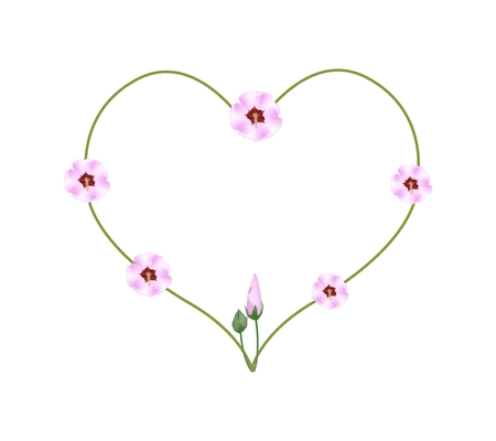 Love Concept, Illustration of Pink Hibiscus Flowers, Rose Mallow or Bunga Raya Forming in Heart Shape Isolated on White Background.のイラスト素材