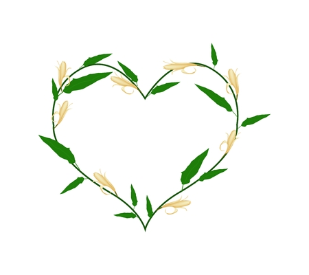 Love Concept, Illustration of Yellow Michelia Alba Flowers or Michelia Champaca Flowers Forming in Heart Shape Isolated on White Background.のイラスト素材