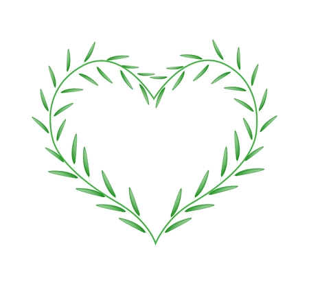 Love Concept, Illustration of Green Leaves in A Heart Shape Isolated on A White Background.のイラスト素材
