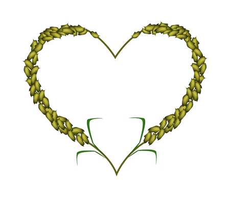 Love Concept, Illustration of Ripe Green Millets Forming in Heart Shape Isolated on White Background.のイラスト素材