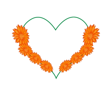 Love Concept, Illustration of Orange Daisy Flowers Forming in Heart Shape Isolated on White Background.のイラスト素材