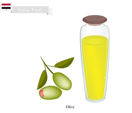 Syria Fruit, Fresh Olives. One of The Most Popular Fruit of Syria.のイラスト素材