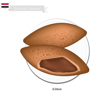 Syrian Cuisine, Kibbeh or Syria Traditional Meatballs Made From Minsed Meat and Bulgur or Rice Wheat. One of The Most Popular Dish in Syria.のイラスト素材