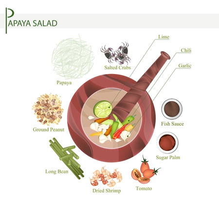 Cuisine and Food, 11 Ingredients Green Papaya Salad with Fermented Salted Crabs. One of The Most Popular Dish in Thailand.のイラスト素材