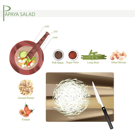 Cuisine and Food, 11 Ingredients Green Papaya Salad with Dried Shrimps. One of The Most Popular Dish in Thailand.のイラスト素材