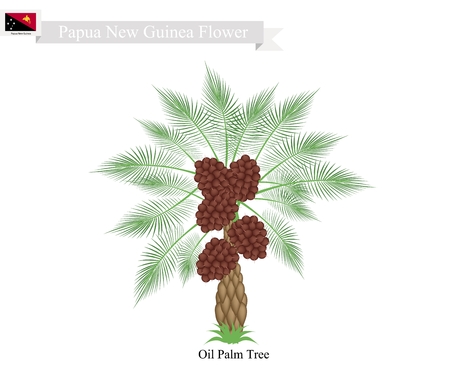 Vector of Papua New Guinea Tree, - ID:1-63151292 - Royalty Free Image ...