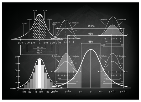 Business and Marketing Concepts, Illustration of Standard Deviation Diagram, Gaussian Bell or Normal Distribution Curve Population Pyramid Chart for Sample Size Determination.のイラスト素材