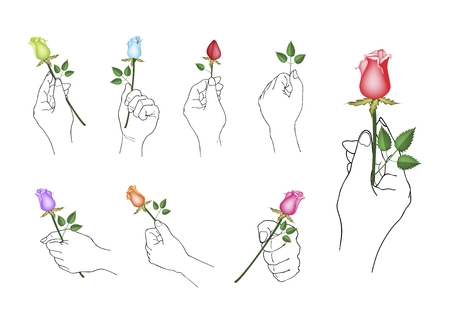 Hand Drawn Sketch Set of Hand Holding Beautiful Roses with Green Leaves Isolated on White Background.のイラスト素材