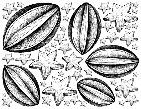 Tropical fruits, illustration wallpaper background of and drawn sketch fresh ripe carambola or starfruit. Isolated on white background.のイラスト素材