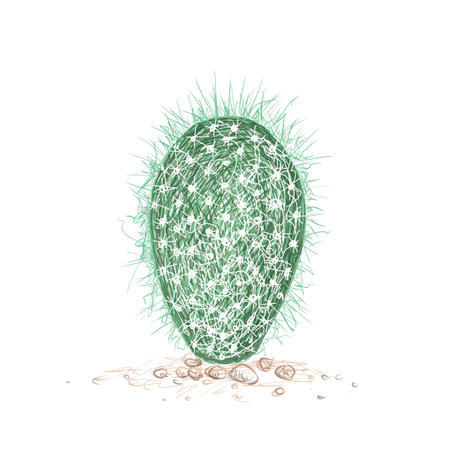 Illustration Hand Drawn Sketch of Cephalocereus Senilis, Espostoa and Old Man Cactus for Garden Decoration.のイラスト素材